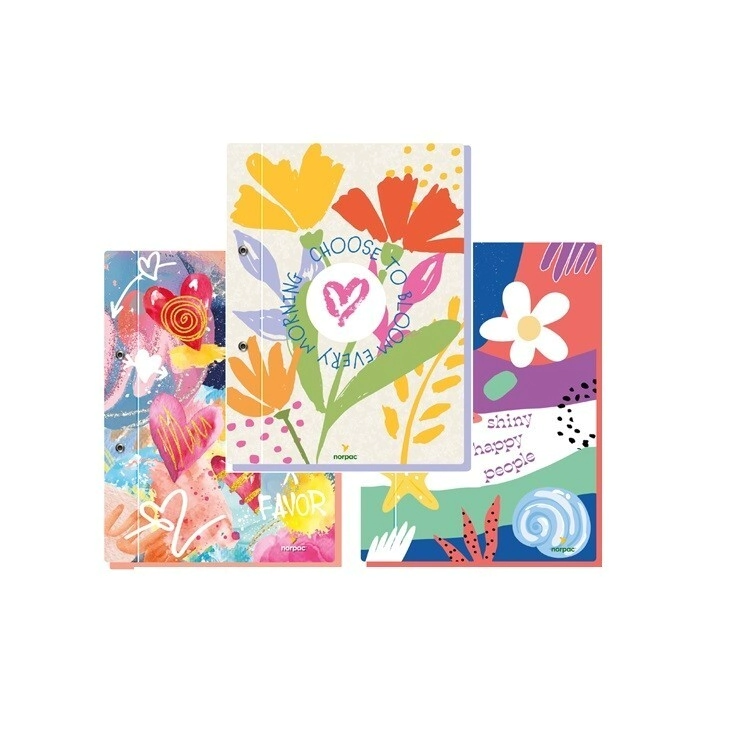 CARP CARTONE C/CORDON A4 2 PERF- FANTASIA