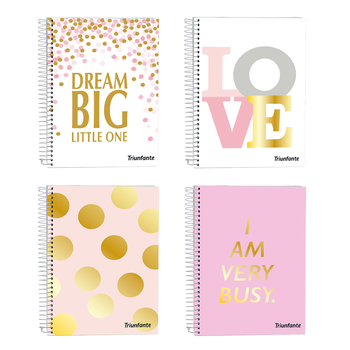 CUAD.C/ESP.TRIUNFANTE ROSE I T/ENC.A6 80 HJS. ==