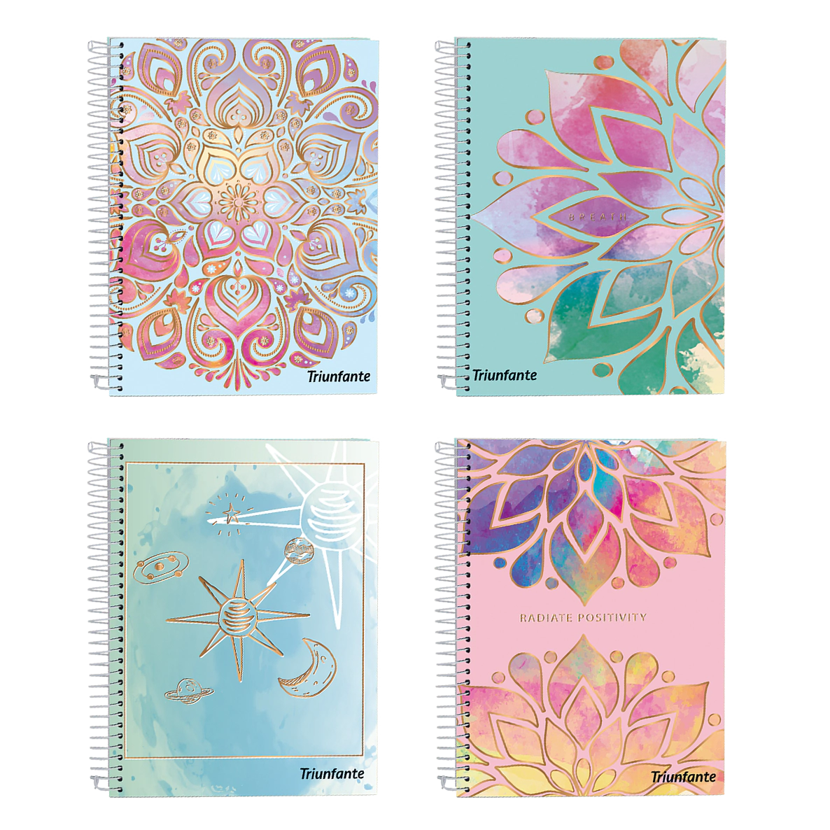 CUAD.C/ESP.TRIUNFANTE ROSE III T/ENC.A6 80 HJS. ==