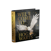 CARPETA ESCOLAR 3X40 HARRY POTTER