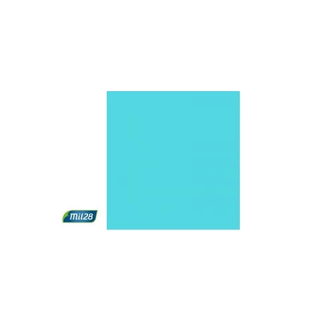 AFICHE COLOR TURQUESA