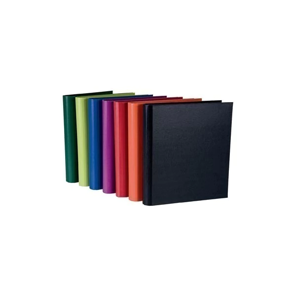 Carpeta Rexon 3x40 PVC Color
