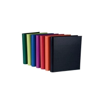 Carpeta Rexon 3x40 PVC Color