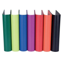 Carpeta Rexon 3x40 PVC Color