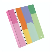 CARPETA CON ANILLAS-A4- RAYADO  100 HOJ  +