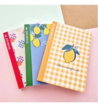 SET 3 CUADERNOS A6 P/JOURNALING CITRIC