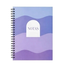 Cuaderno Colecciones A5. tapa DURA x 100 hj RAY, cuadric. o lisas MINIMAL