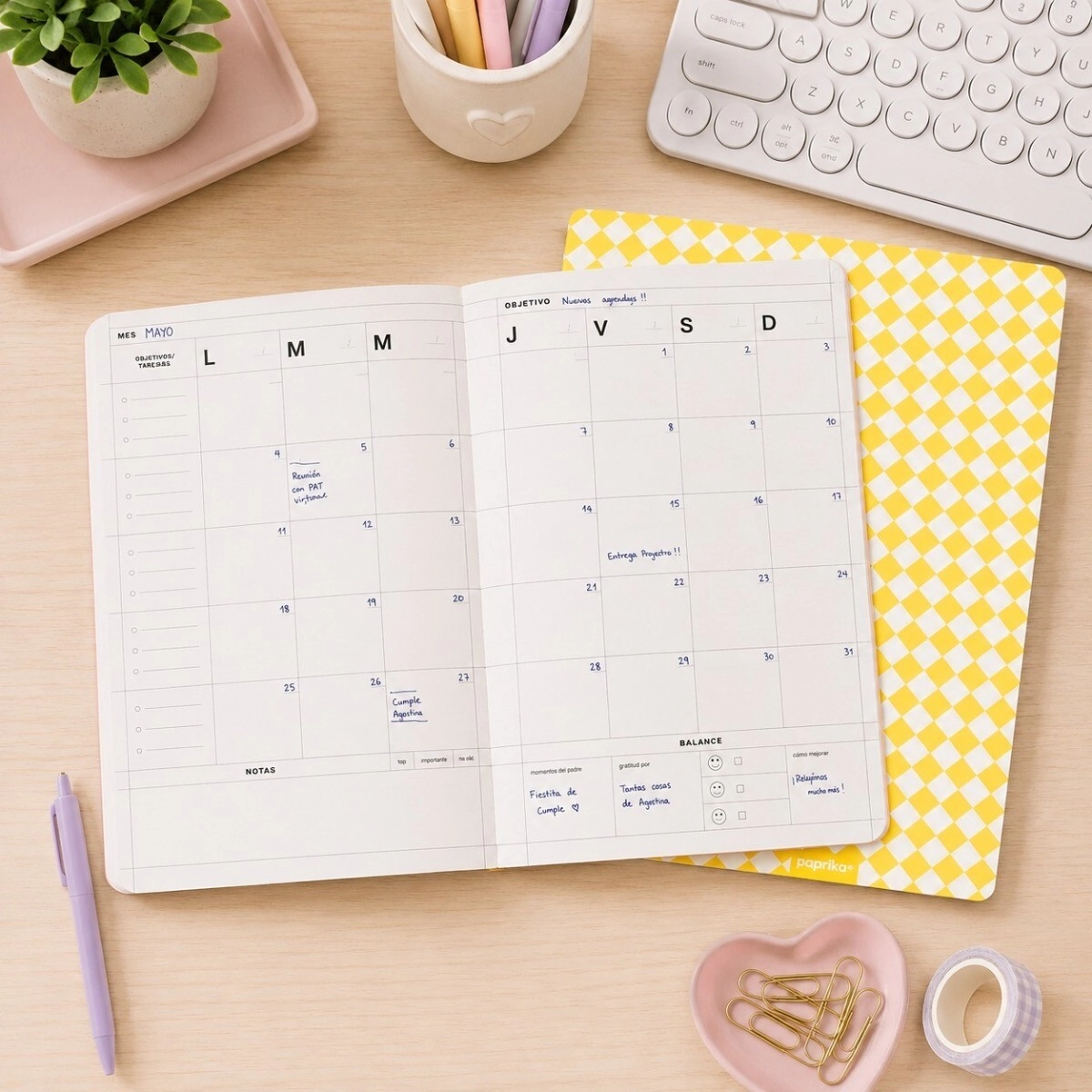 PLANNER MENSUAL 19X25 TAPA BLANDA DOPAMINE