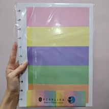 REPUESTO INTELIGENTE A4 29,7 COLOR 5 COLORES PLANNER